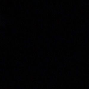 Meet your Posher, Perla